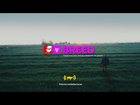 BREED Sistema para crianza de ganado
