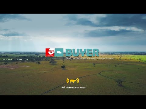 BUYER Sistema para compra y acopio de ganado