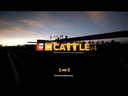 CATTLE Sistema para engorda de ganado