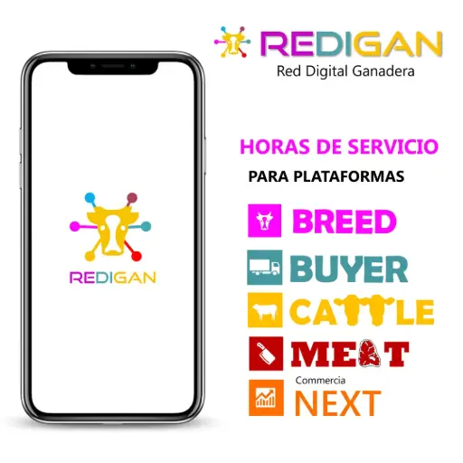 Horas de servicio