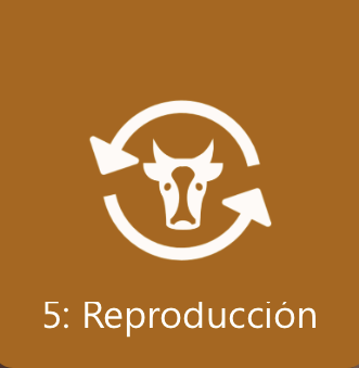 MODULO 5 - Reproduccion